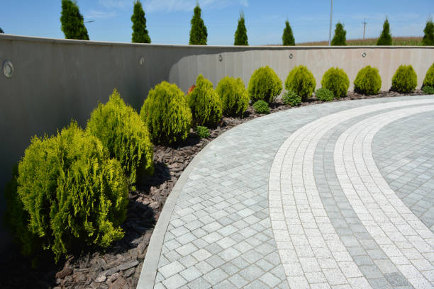 Reasons to Select Us for Your Driveway Paving Requirements in Burton, MI